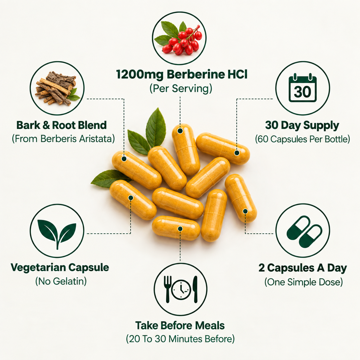 Turmeric Curcumin Wellness Capsules